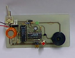 etilometro digitale.jpg (41007 byte)