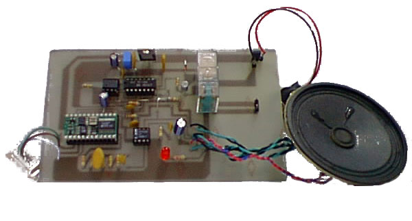 telefono.jpg (94402 byte)