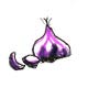 garlic.jpg