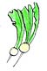 vegetable11.jpg