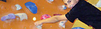 Arrampicata sportiva 2010