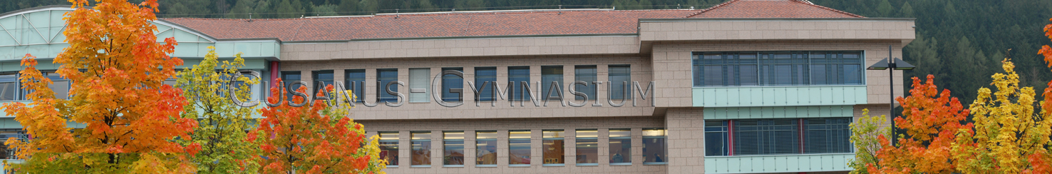 http://www.schule.provinz.bz.it/nikolaus-cusanus